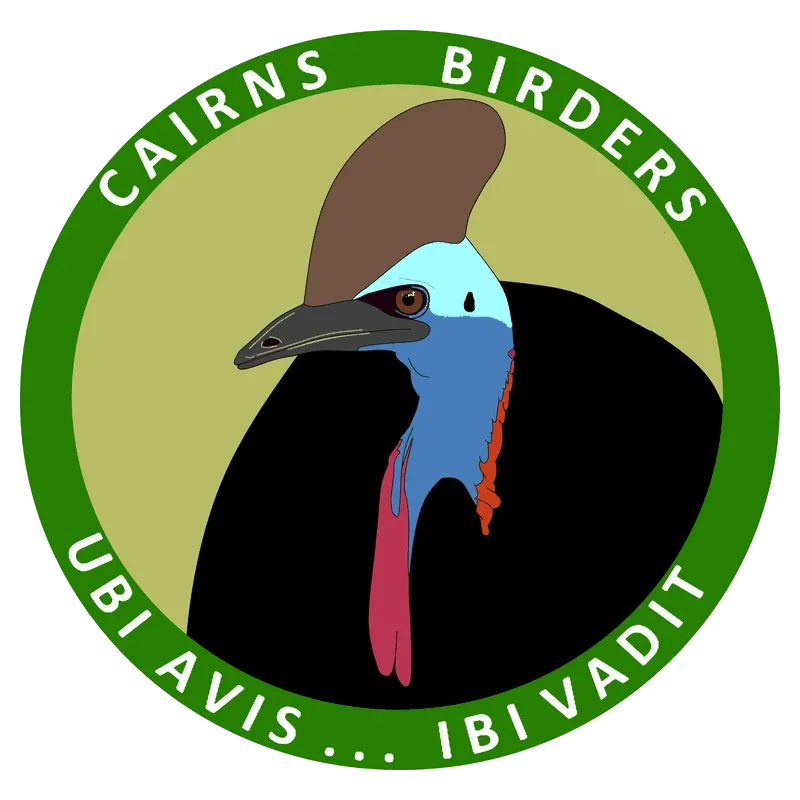 Cairns Birders